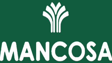 MANCOSA Careers: Academic Administrator Role 7 Mancosa Vacancies – visual highlighting opportunities, courses and programmes offered by MANCOSA including business administration, education and online learning options.