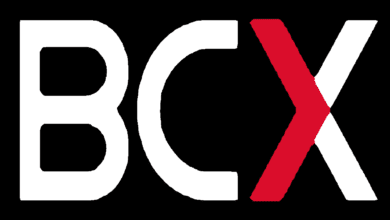 BCXP Vacancies Tech Officer Call Desk Consultant Position 9 nnnn 2