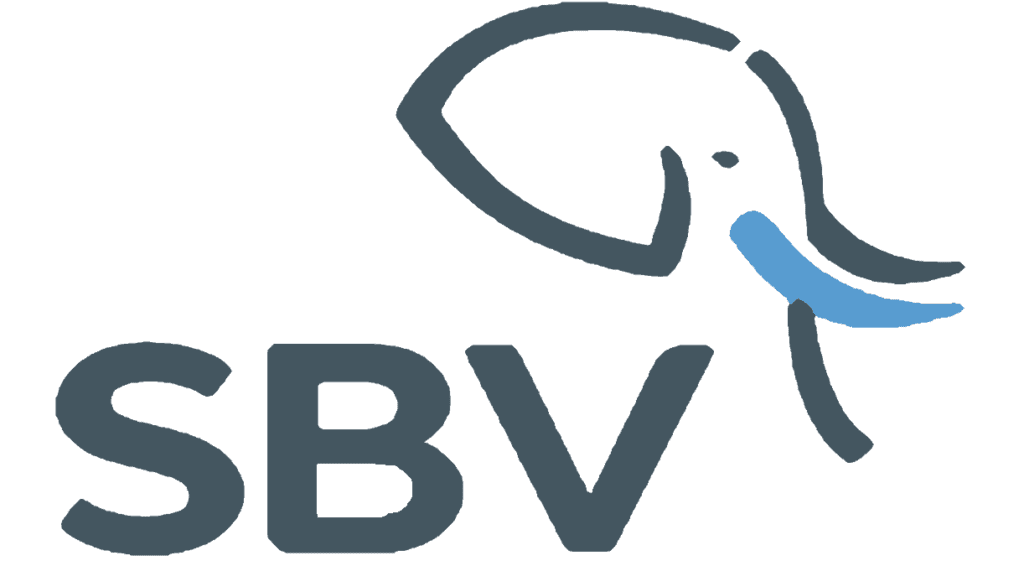SBV Services YES4Youth Cash Processor 2026 1 nnnn 4