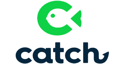 Catch Recruit Jobs: Data Analyst Position 2026 5 proo 2