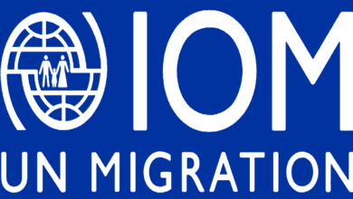 ICT Assistant – International Organization for Migration Job 2026 11 proo 3