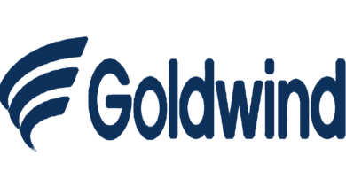 HSE Officer Job Goldwind Wind Farm Safety Construction Opportunity 5 logo 15