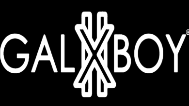 Intermediate IT Support Technician – GALXBOY Careers 2026 11 logo 2