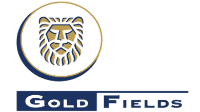 Gold Fields Mining Learnership Rigger Job Career Development SA 7 logo 25