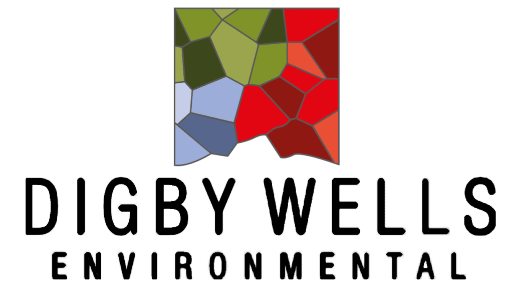 Digby Wells Environmental Intern Role – Gauteng 2026 1 logo 12