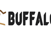 Buffalo International Logistics Learnership Training SA 2 logo 12