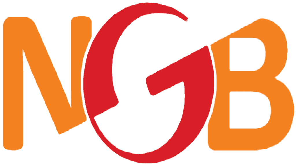 NGB ICT Internship With R12,000 Monthly Stipend 1 logo 9